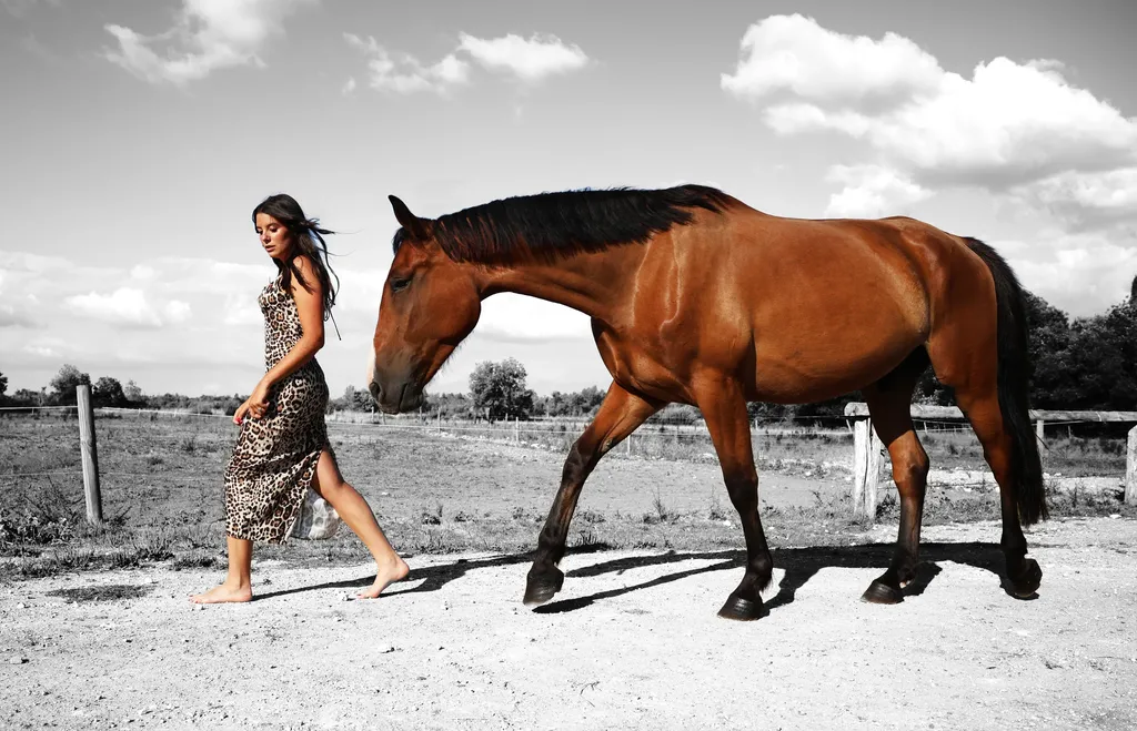 Colour, landscape in full sun: a barefoot woman in a leopard dress walks beside a bay horse on a pale path.
